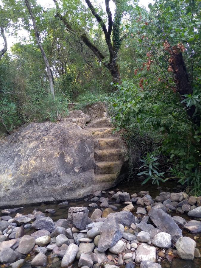 Casa Pepa Daire Algar  Dış mekan fotoğraf