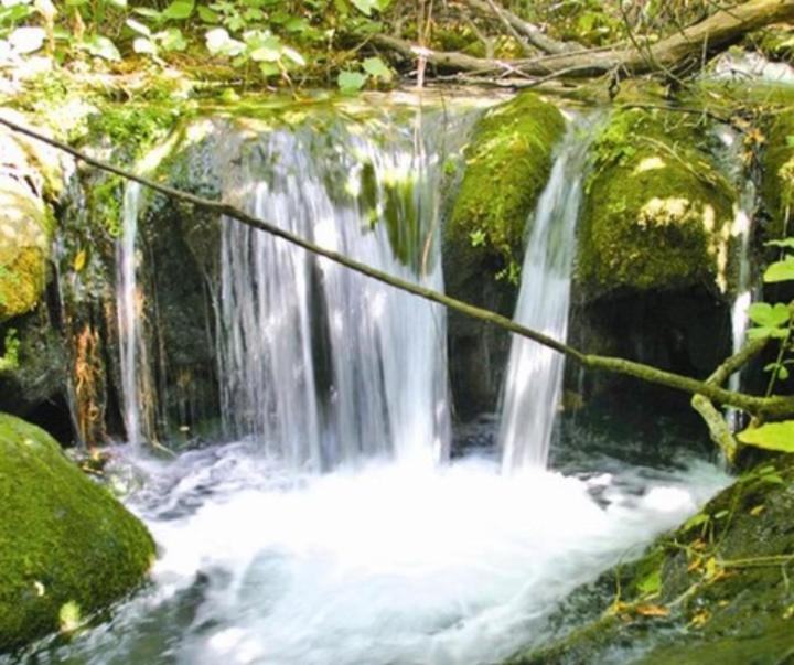 Casa Pepa Daire Algar  Dış mekan fotoğraf